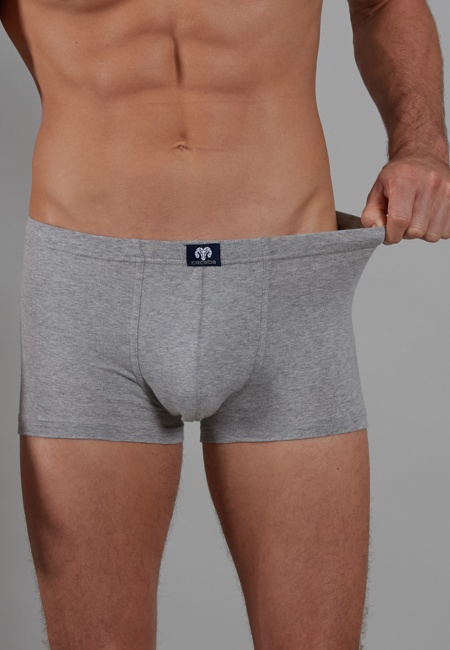 Herren Short-Pants grau uni 2er Pack