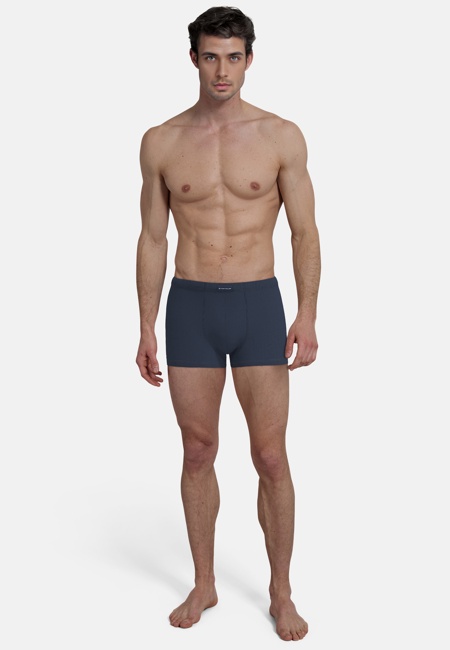 TOM TAILOR Herren Hip Pants blau längsgestreift