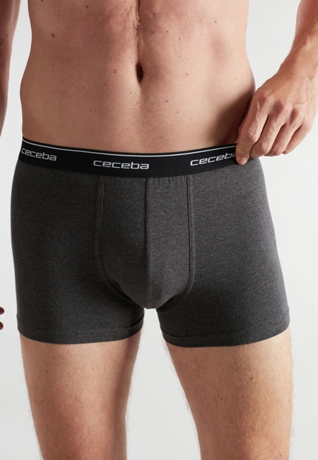 CECEBA Herren Pants grau uni 2er Pack