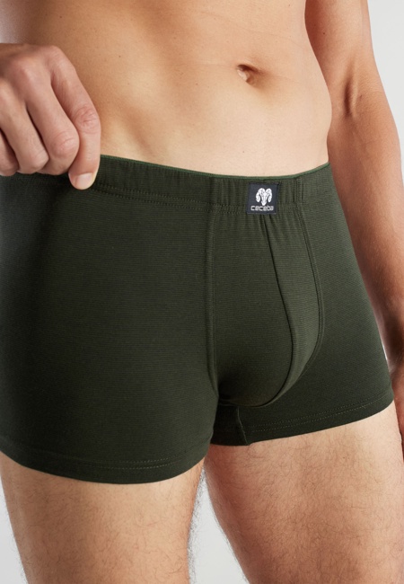CECEBA Herren Pants grün quergestreift 2er Pack