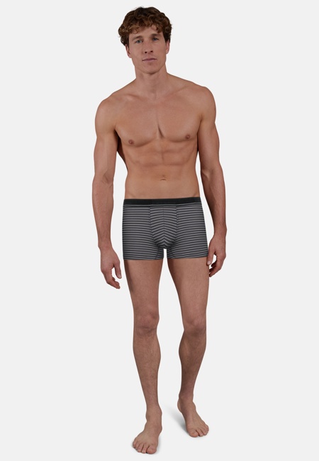 CECEBA Herren Pants grau quergestreift 2er Pack