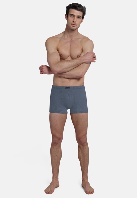 TOM TAILOR Herren Pants blau Nadelstreifen 2er Pack