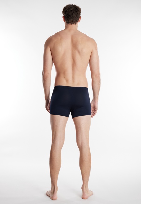 GÖTZBURG Herren Pants blau uni