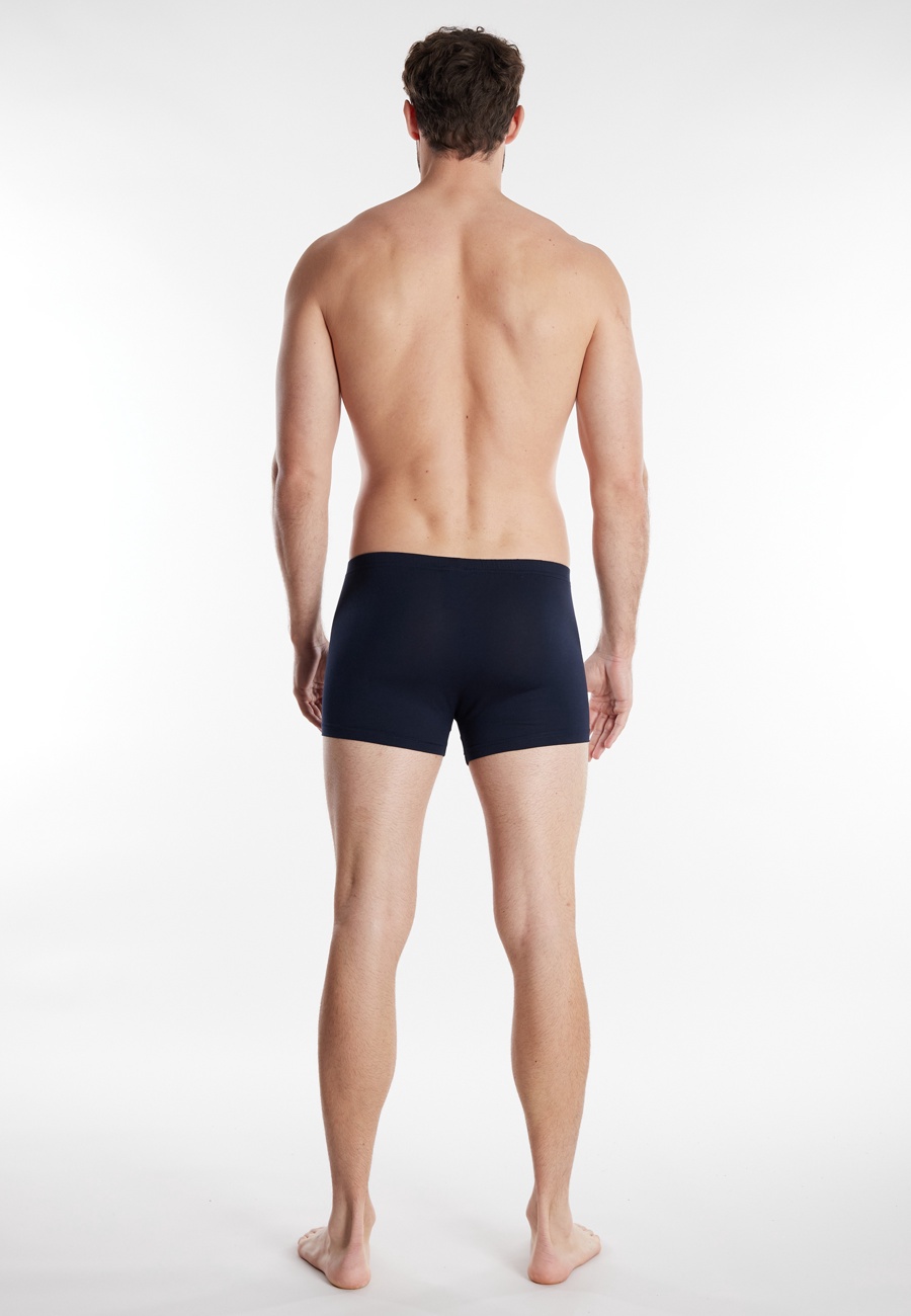 GÖTZBURG Herren Pants blau uni